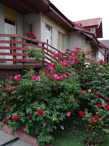 Apartamento Viladana