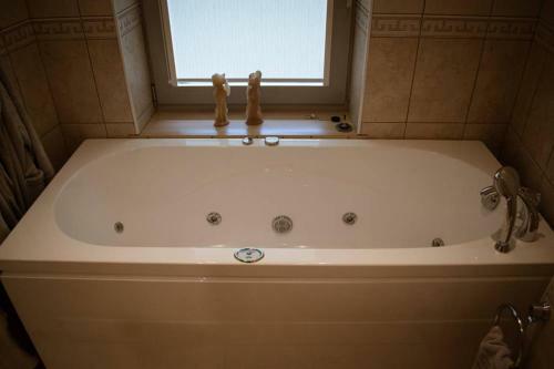 Privat?s Apartamentai ?alia J?ros