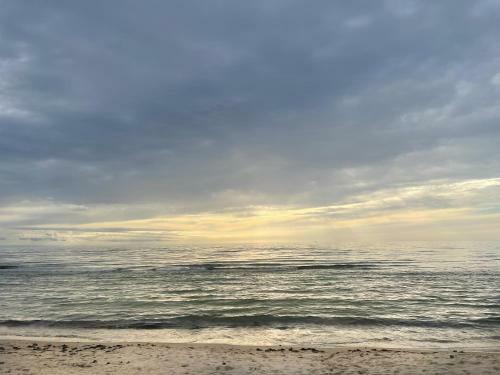Amber-blue Palanga