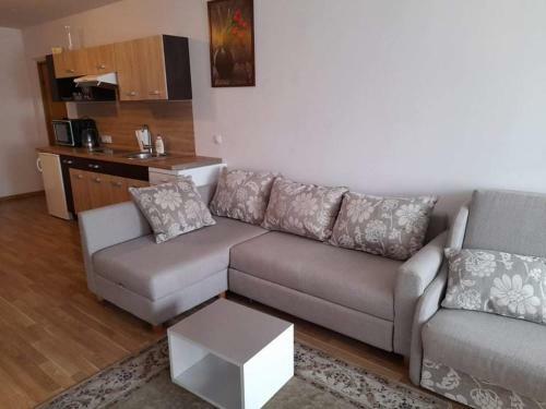Apartamento Large Studio Palanga Inn