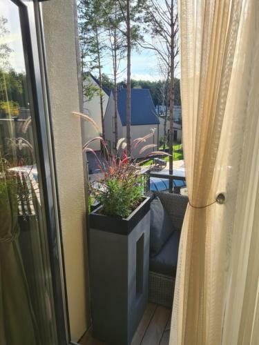 ?iki Puki Apartamentai Pien?s P?kas