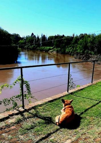 Apartamento Mirador Al Rio