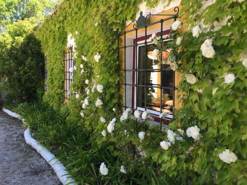 Agroturismo Quinta Do Troviscal