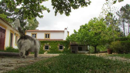 Agroturismo Quinta Do Troviscal