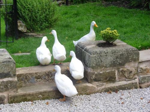 Tithe Barn Bed And Breakfast