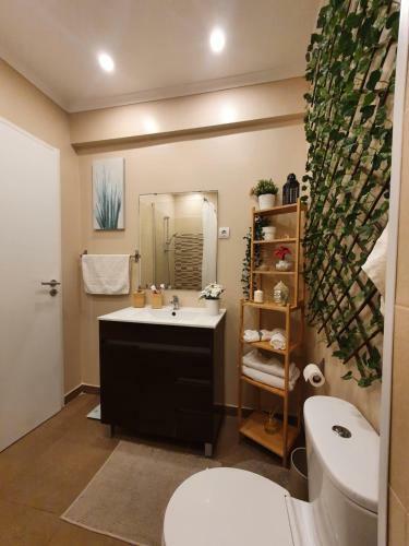 N3 Apartment