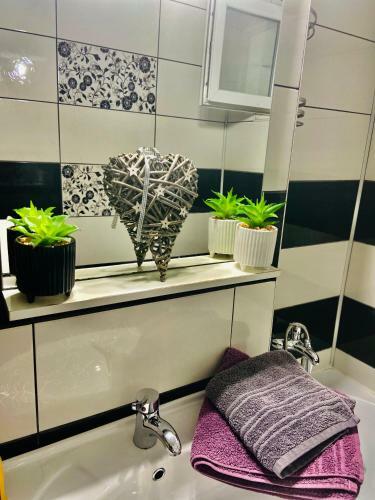 Apartamento Cozy Central Place