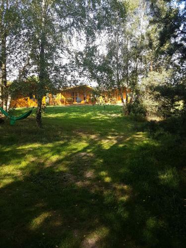 Lodge Camping Family