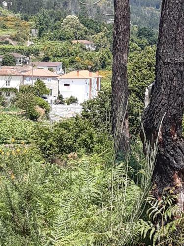 Hostal As Casinhas Dos Meus Av�s By Quinta Do Pa�o