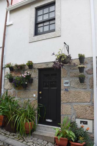 Mimo House