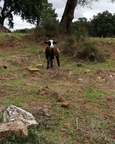 Turismo Rural Casa Da C�u