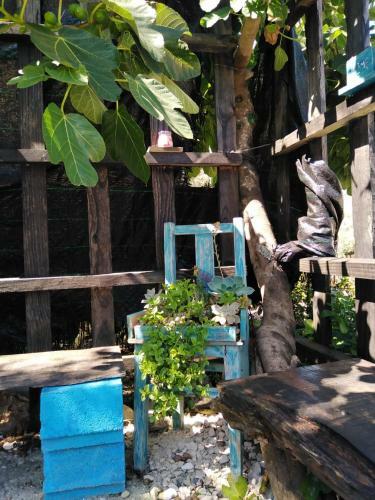Turismo Rural Casa Da C�u