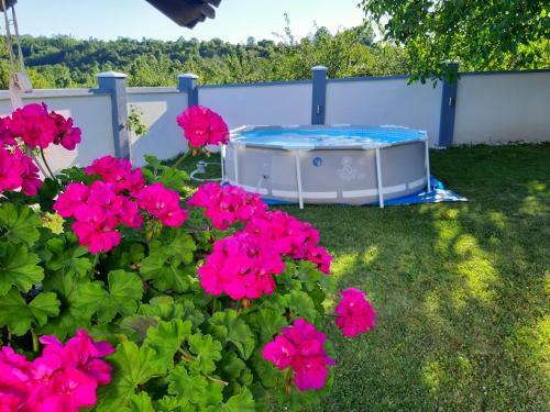 Villa Pe?inska Vila