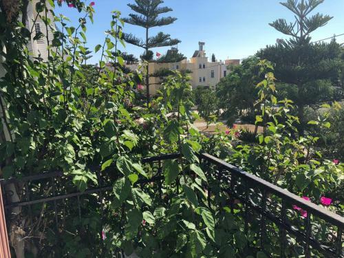 Villa Wind Sea Belek