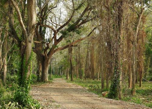 Villa Rionilo Ecolodge - Tours