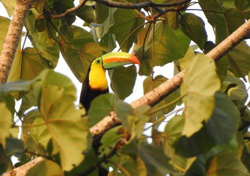 Villa Rionilo Ecolodge - Tours