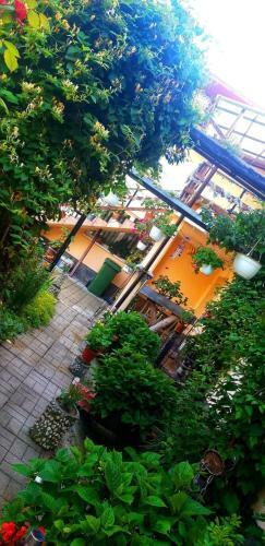 Casa Bradul Verde