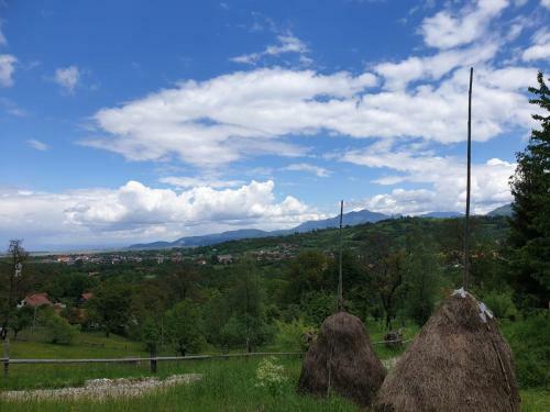Lodge Pensiunea Padina