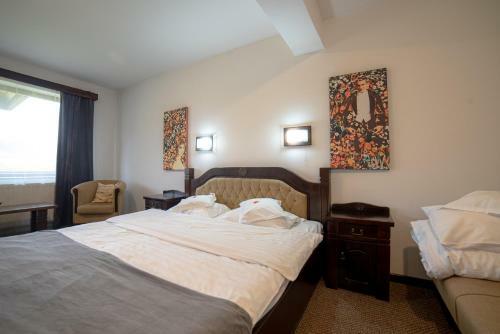 Hotel Bran Chalet
