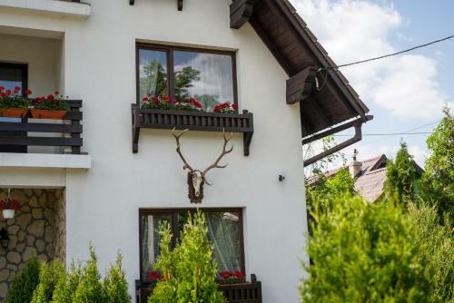 Hotel Bran Chalet