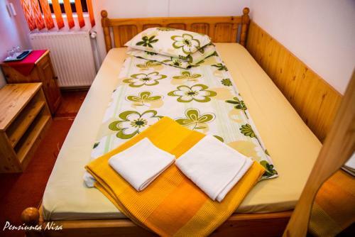 Hostal Pensiunea Nisa