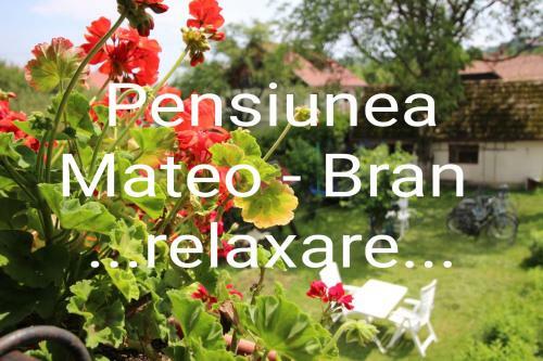 Hostal Pensiunea Mateo