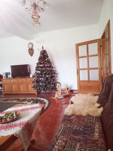 Hostal Casa Cu P?uni