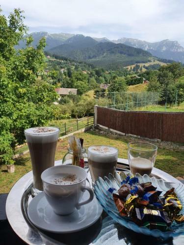 Bed & Breakfast Casa Hoinarilor
