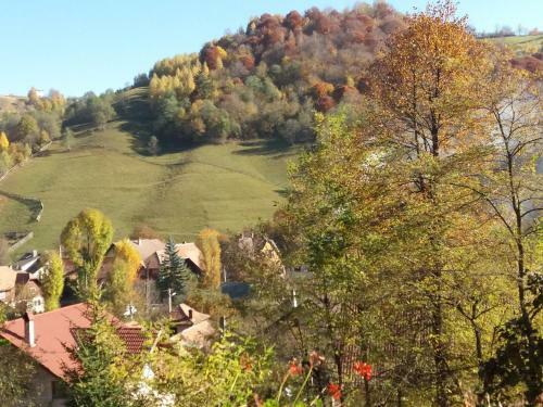 Agroturismo Bran And Breakfast
