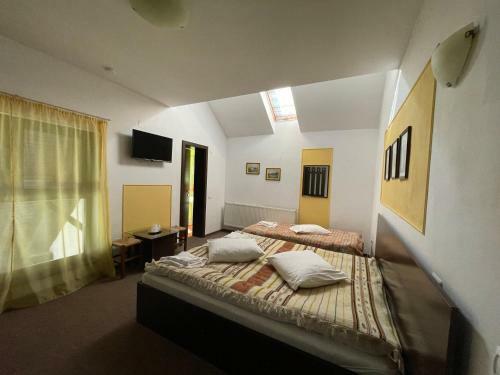 Hostal Pensiunea Mis