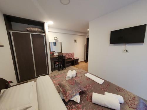 Hostal Casa de Vacanta Aryana