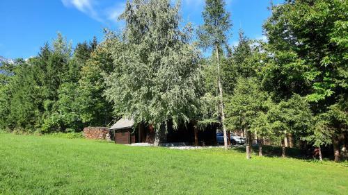 Forrest House