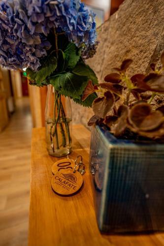 Calafate Apart Hotel