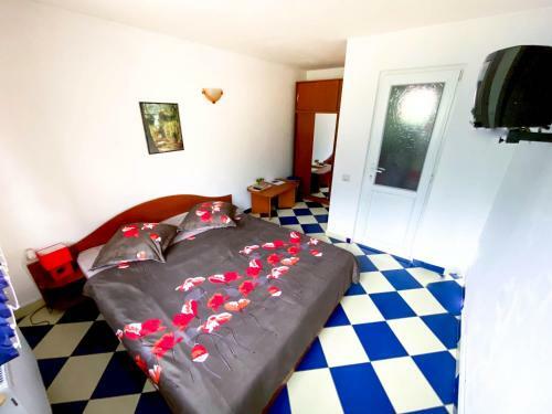 Hostal Pensiunea Ramona