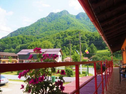 Hostal Pensiunea Ramona