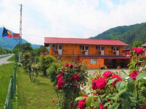 Hostal Pensiunea Ramona