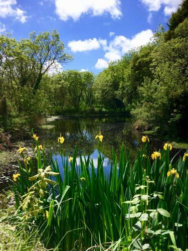 Lodge Trecombe Lakes