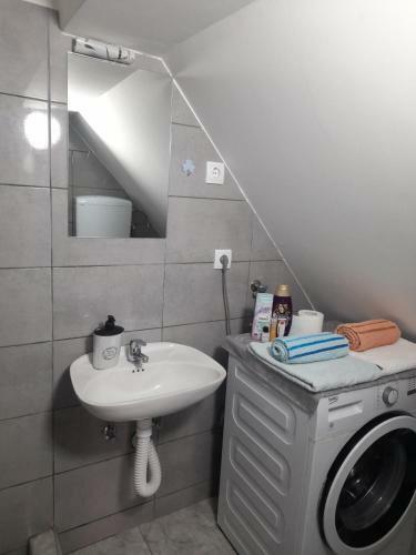 Family Apartmani Le