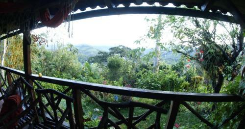Guayabo Verde
