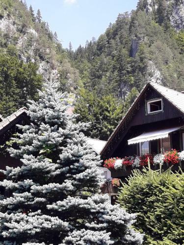 Apartamento Dalija