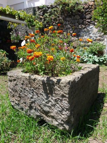 Apartamento Quintal D'angra