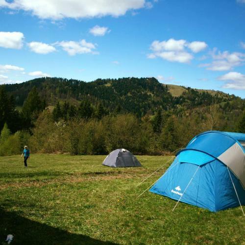 Popas Fefeleaga-camping