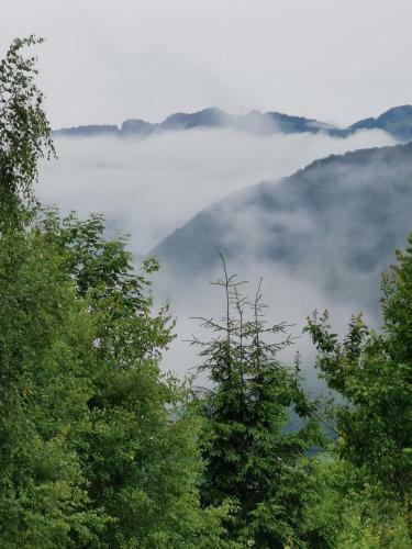 Popas Fefeleaga-camping