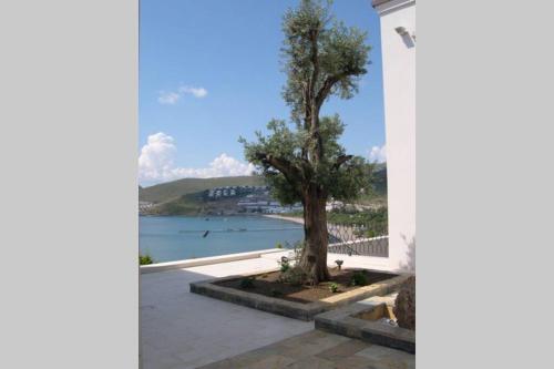 Stilvolle Moderne Villa Mit Pool Und Meerblick.