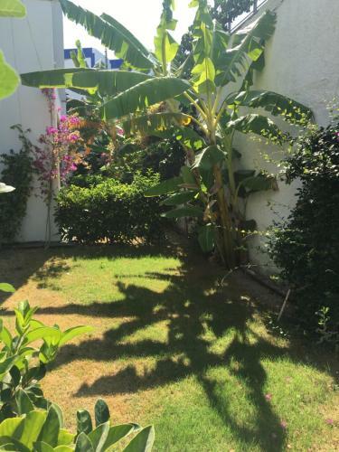 Apartamento Ala Grand Res?dence