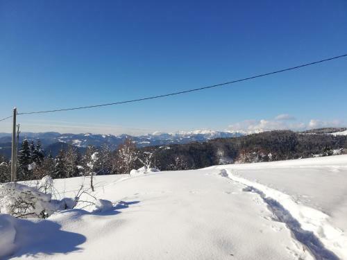 Holiday Home Forest Peace, Lavrovec