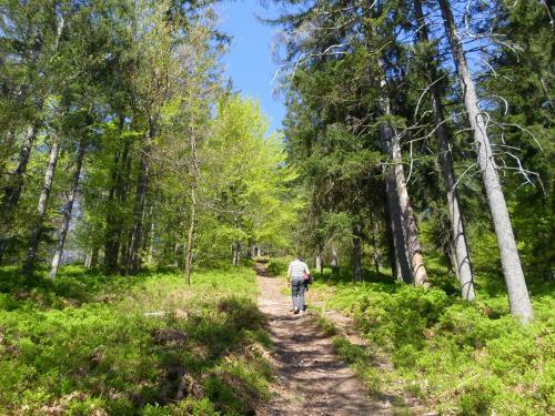 Holiday Home Forest Peace, Lavrovec
