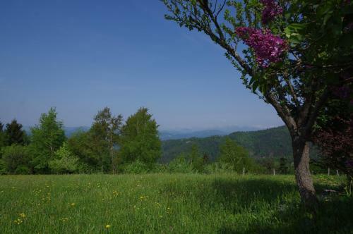 Holiday Home Forest Peace, Lavrovec