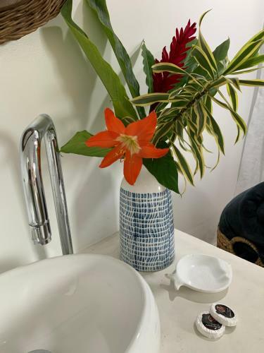 Hostal Almas G�meas Su�te Com Cozinha Praia Da Ribeira