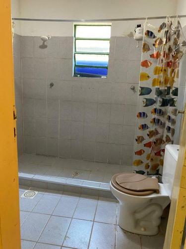 S�tio Grande M�e Com Cachoeira Na Porta E Piscina !
